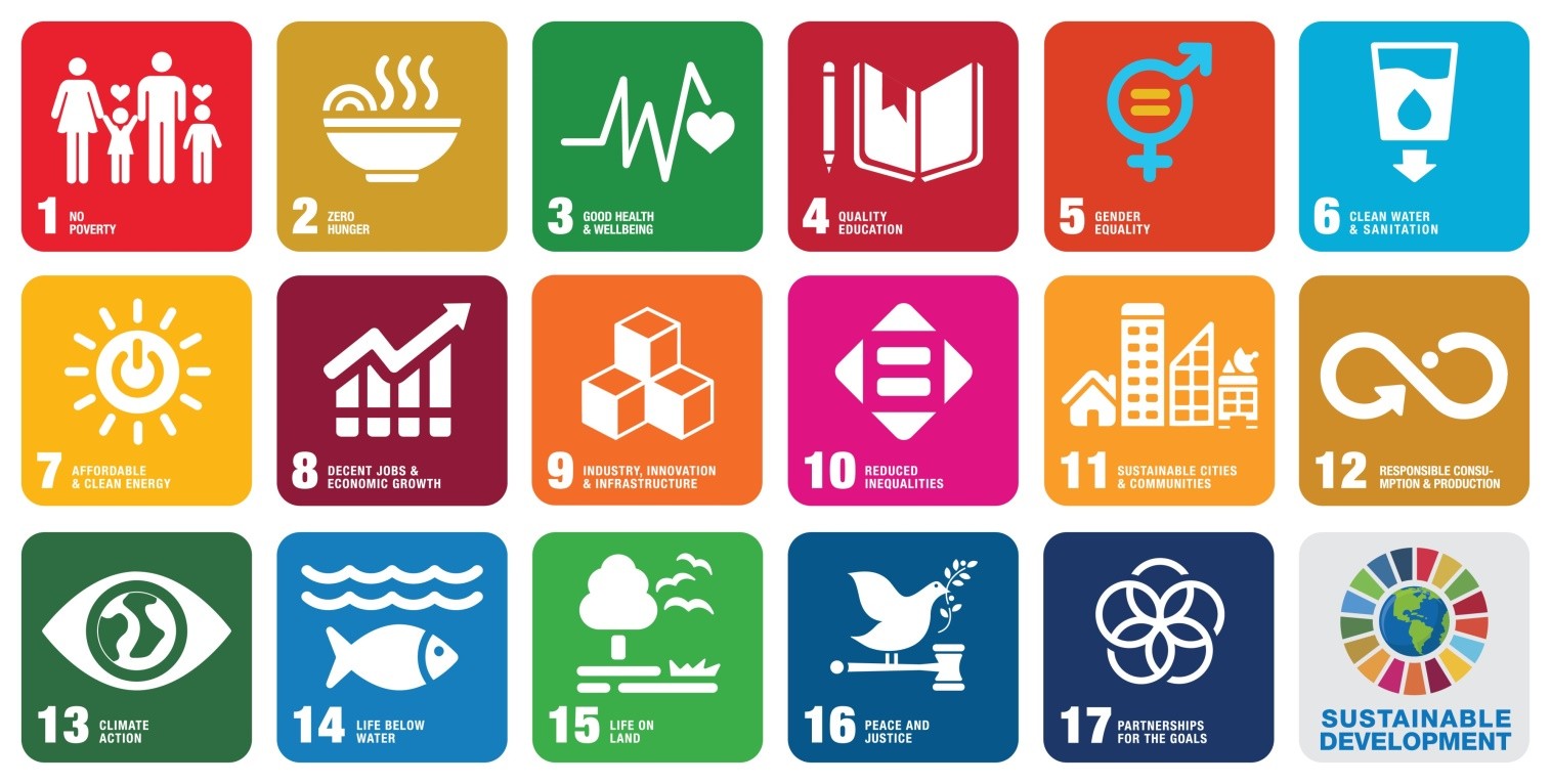 UN SDG Logo